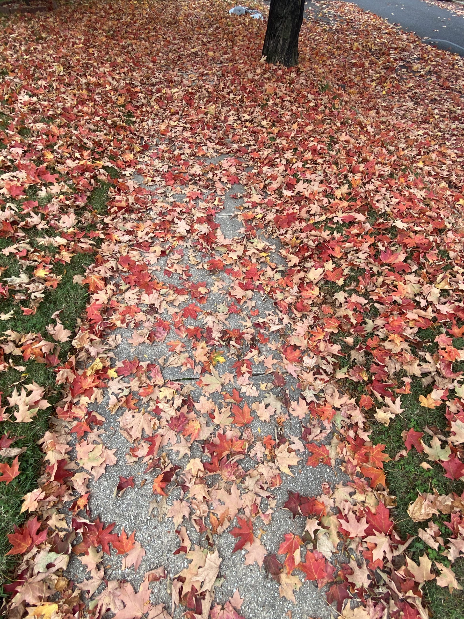 Rake your problems like leaves